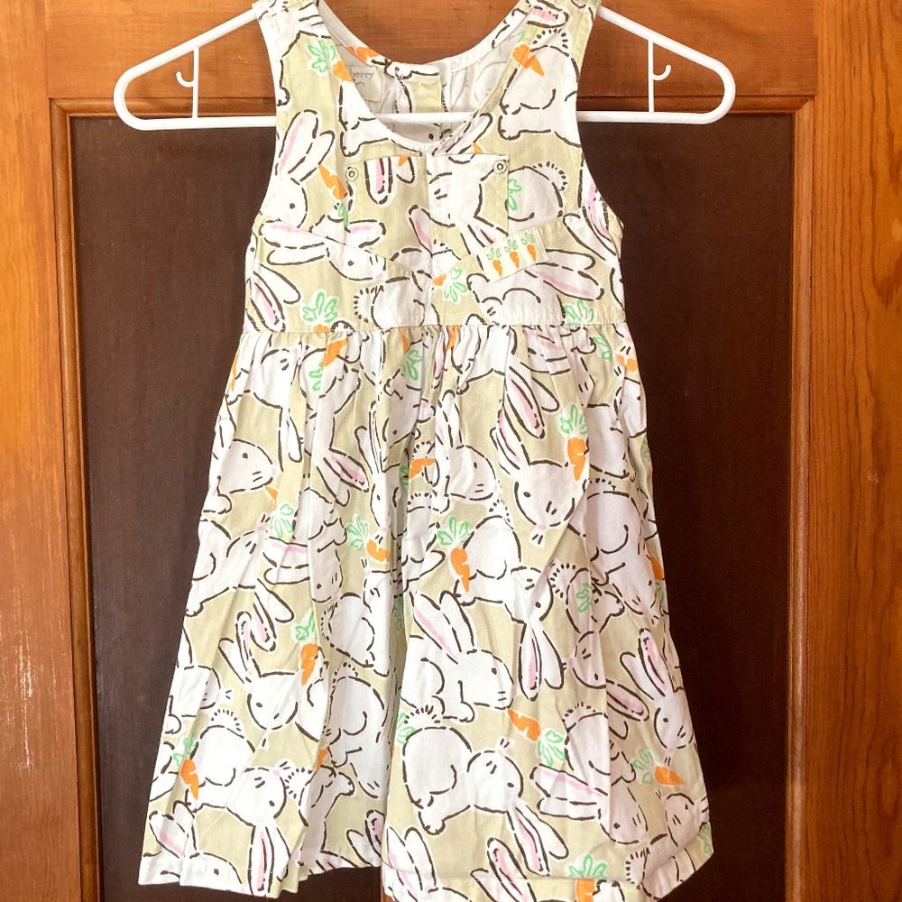 STRAWBERRY FAIR Girls' Bunnies and Carrots Spring/Easter Jumper ~ Sz 6